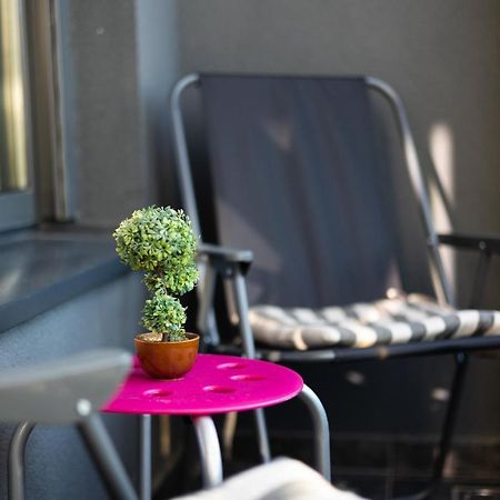 New Garden Condo بلغراد المظهر الخارجي الصورة